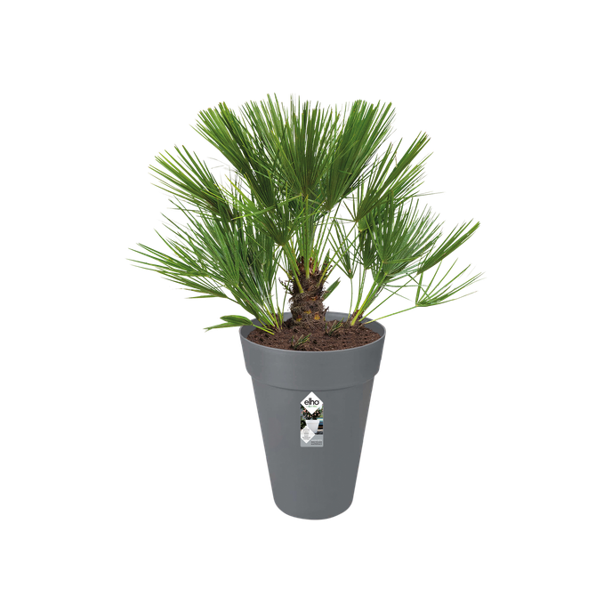 loft urban rund hoch 28cm anthrazit